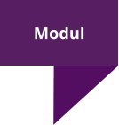 Modul
