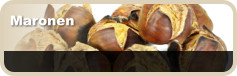 Maronen
