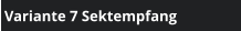 Variante 7 Sektempfang